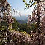Cascina Bozzetti - Tutta La In Esclusiva *