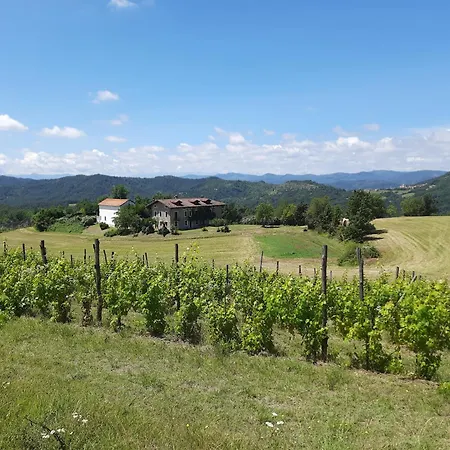 Cascina Bozzetti - Tutta La In Esclusiva *