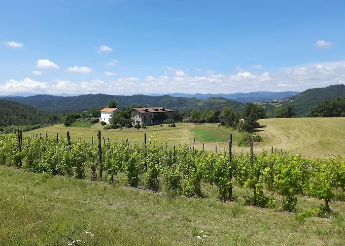 Cascina Bozzetti - Tutta La In Esclusiva *